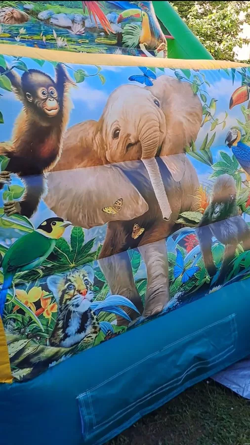 Džungļi ar saviem krāšņajiem zīmējumiem priecē kā mazus, tā lielus